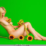 hd-studio-nudes/1687-amber-sunflowers-052914/pthumbs/1687_pic4.jpg