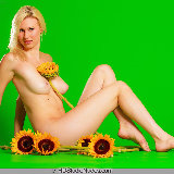 hd-studio-nudes/1687-amber-sunflowers-052914/pthumbs/1687_pic6.jpg